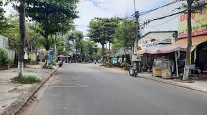 duong luong nhu hoc da nang 1136