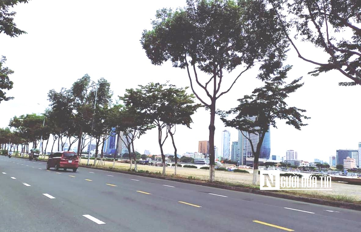 đường Trần Hưng Đạo