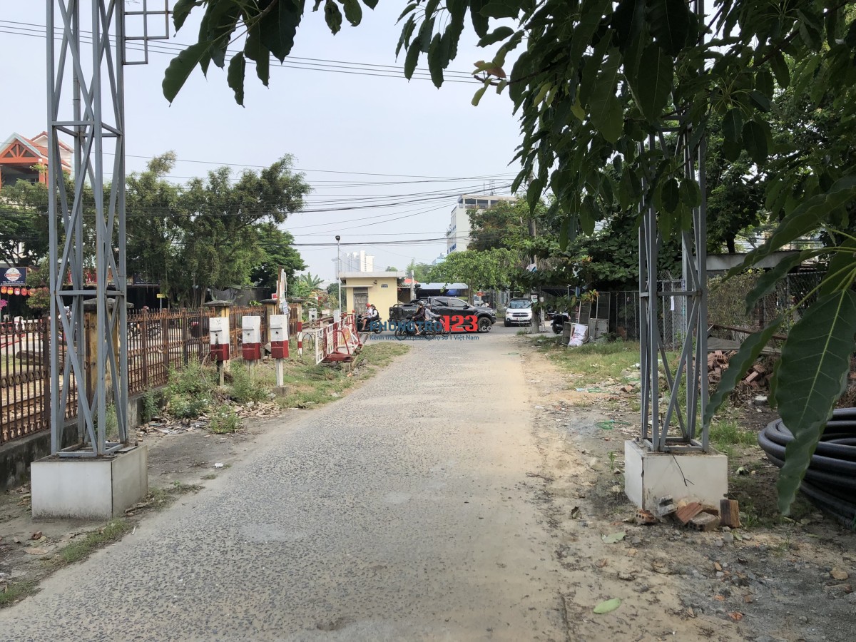 đường Nguyễn Chánh