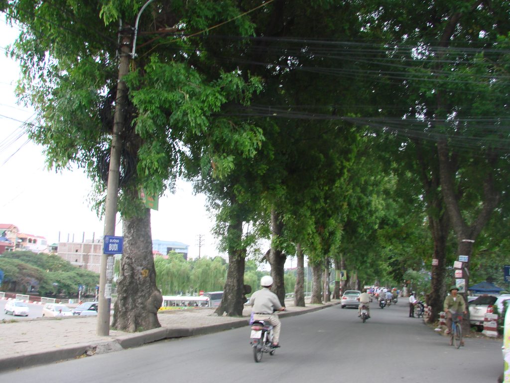 duong buoi ha noi 1992