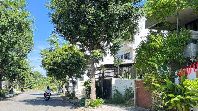 duong nguyen lu da nang 1696